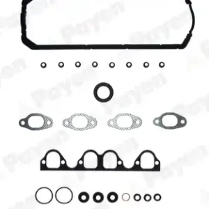 Beperkt Aanbod Cilinderkop pakking set\\/kopset Payen DV850