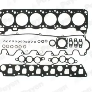 Plaats Bestelling Cilinderkop pakking set\\/kopset Payen DW620