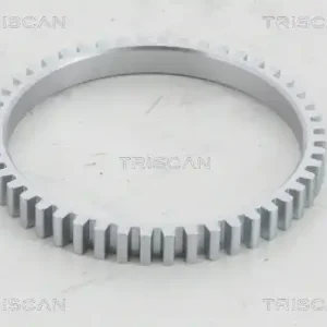 Ambachtelijk ABS ring Triscan 8540 43417