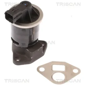 EGR-klep Triscan 8813 21004 Groothandel