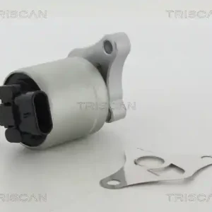 Lage Prijs EGR-klep Triscan 8813 24002