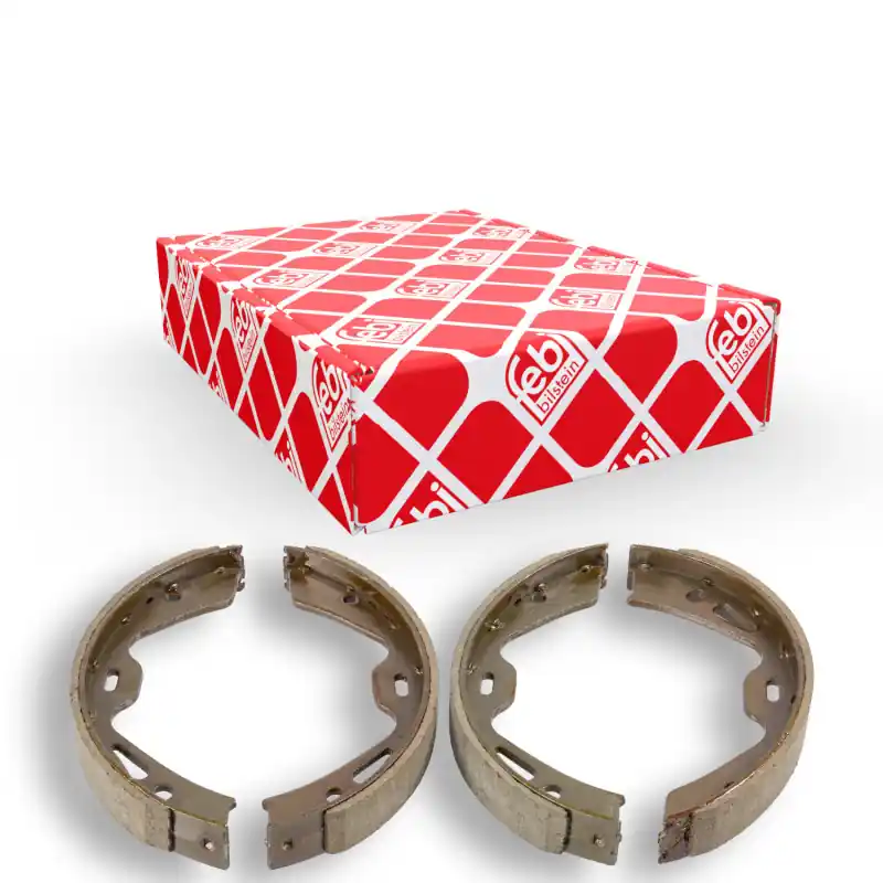 Luxe Remschoen set Febi Bilstein 36729