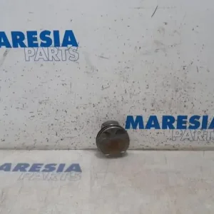 Zuiger RENAULT CAPTUR I (J5_, H5_), RENAULT CLIO IV (BH_) Gecertificeerd