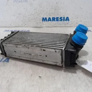 Wereldwijde Verzending Interkoeler tussenkoeler PEUGEOT 5008 (0U_, 0E_)