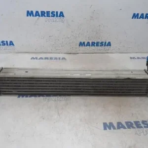 Interkoeler tussenkoeler RENAULT Grand Scénic III (JZ0/1), RENAULT Scénic III (JZ0/1) Populair