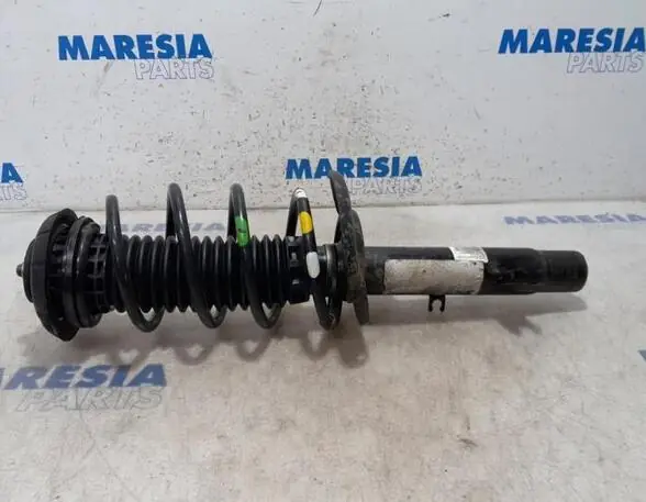 Bestel Nu Veerpoot CITROËN C3 II (SC), CITROËN C3 III (SX)