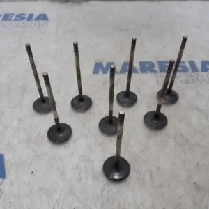 Betaalbaar Inlaatklep RENAULT Laguna III (BT0/1)