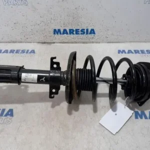 Limited Edition Veerpoot RENAULT Scénic III (JZ0/1), RENAULT Grand Scénic III (JZ0/1)