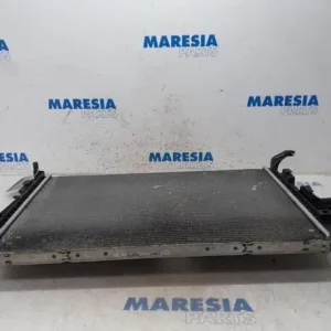 Lage Prijs Radiateur RENAULT Scénic III (JZ0/1), RENAULT Grand Scénic III (JZ0/1)