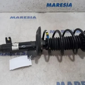 Veerpoot CITROËN C3 II (SC), CITROËN C3 III (SX) Bulkbestelling