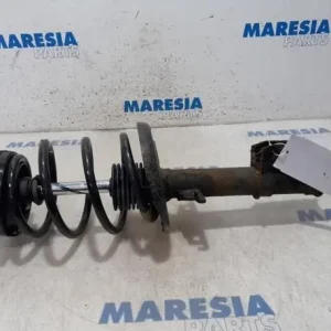 Veerpoot RENAULT Grand Scénic III (JZ0/1), RENAULT Scénic III (JZ0/1) Direct Verzonden