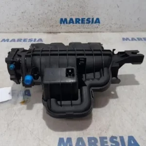 Verdelerbuis brandstof RENAULT SCÉNIC III (JZ0/1_), RENAULT GRAND SCÉNIC III (JZ0/1_) Wereldwijde Verzending