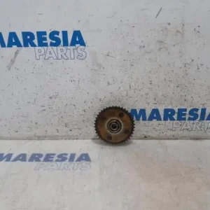 Tandwiel nokkenas PEUGEOT 207 CC (WD), CITROËN C5 III Break (TD) Betaalbaar