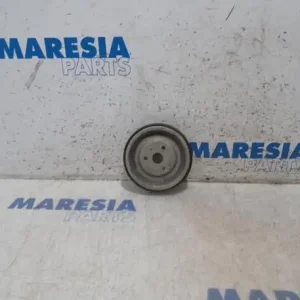 Laatste Versie Riemschijf waterpomp PEUGEOT 207 CC (WD)