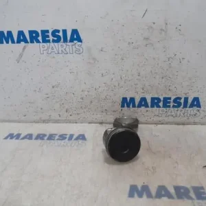 Direct Beschikbaar Zuiger PEUGEOT 207 CC (WD)