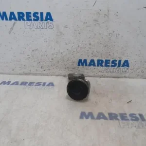 Zuiger PEUGEOT 207 CC (WD) Bulkbestelling