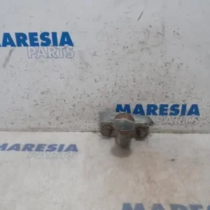 Direct Beschikbaar Trekhaakkogel RENAULT Trafic II Kasten (FL)