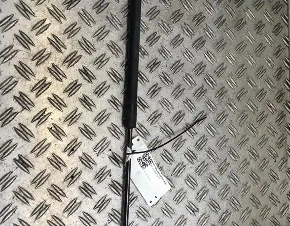 Limited Edition Gasveer motorkap OPEL ASTRA H (A04)