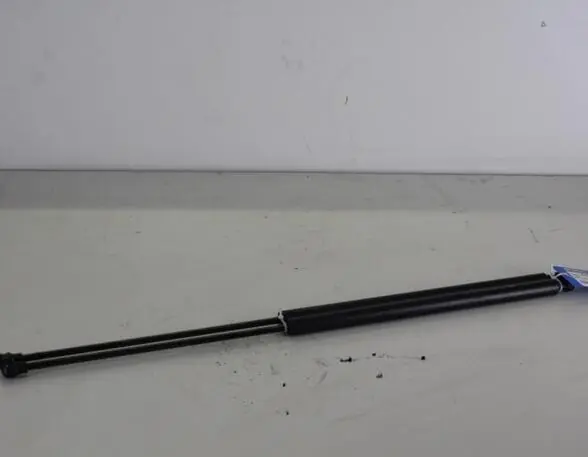 Koop Online Gasveer kofferruimte CITROËN XSARA PICASSO (N68)