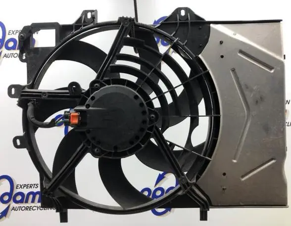 Bulkbestelling Elektrische motor radiateurventilator CITROËN C4 CACTUS, CITROËN C3 PICASSO (SH_)