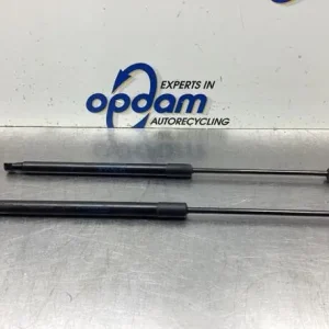 Gratis Verzending Gasveer kofferruimte SKODA FABIA II Combi (545), SKODA ROOMSTER Praktik (5J), SKODA ROOMSTER (5J7)