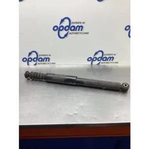 Meest Verkocht Schokdemper RENAULT CLIO III (BR0/1, CR0/1)