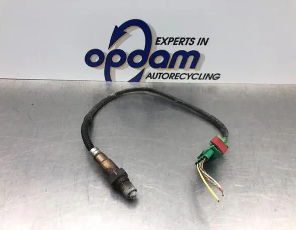 Lambdasonde / NOx Sensor CITROËN XSARA PICASSO (N68) Koop Vandaag