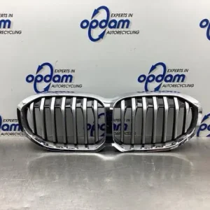 Radiateurgrille BMW 1 (F40) Plaats Bestelling