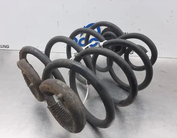 Chassisveer RENAULT CLIO III (BR0/1, CR0/1), RENAULT CLIO IV (BH_), RENAULT CLIO II (BB_, CB_) Premium