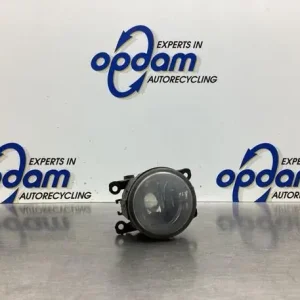 Laatste Versie Mistlamp RENAULT SCÉNIC II (JM0/1_), RENAULT GRAND SCÉNIC II (JM0/1_)