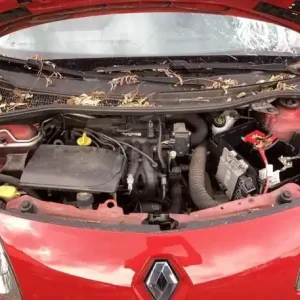 ABS Hydraulisch aggregaat RENAULT TWINGO II (CN0_) Koop Online