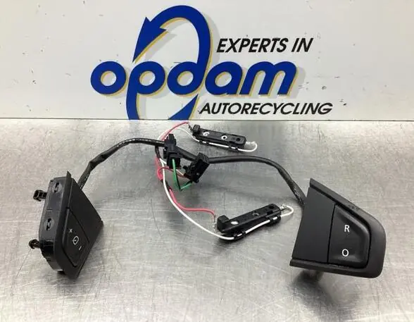 Cruise Control Hendel RENAULT SCÉNIC III (JZ0/1_), RENAULT GRAND SCÉNIC III (JZ0/1_) Exclusieve Aanbieding