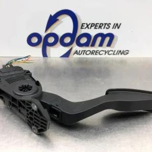 Gaspedaal SUZUKI SPLASH (EX) Shop Nu