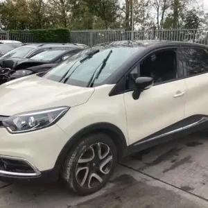 Buitenspiegel RENAULT CAPTUR I (J5_, H5_), RENAULT CLIO IV (BH_) Authentiek