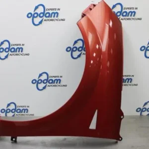 Speciale Aanbieding Spatbord RENAULT SCÉNIC II (JM0/1_), RENAULT GRAND SCÉNIC II (JM0/1_)