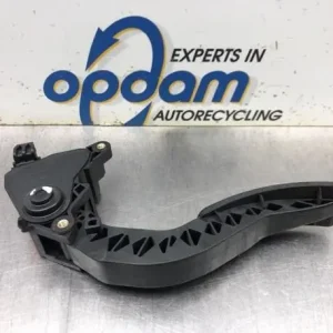 Actieprijs Gaspedaal RENAULT SCÉNIC III (JZ0/1_), RENAULT GRAND SCÉNIC III (JZ0/1_)