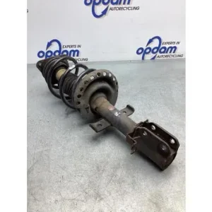 Veerpoot RENAULT CLIO III (BR0/1, CR0/1) Exclusief