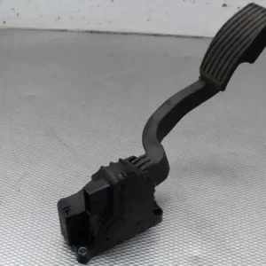 Gaspedaal FIAT GRANDE PUNTO (199_), FIAT PUNTO (199_), FIAT PUNTO EVO (199_) Betrouwbaar