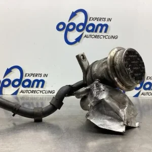 Uitlaatgasregelingsklep VW POLO (6R1, 6C1) Veilige Betaling