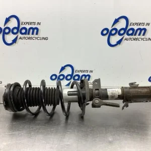 Veerpoot FORD FIESTA VI (CB1, CCN) Uitverkoop