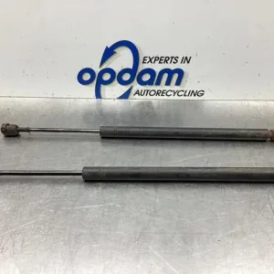 Beste Prijs Gasveer kofferruimte FORD FOCUS (DAW, DBW)