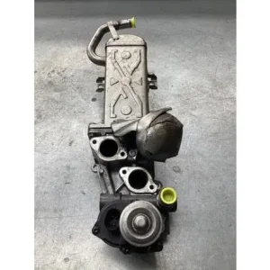 Limited Edition Uitlaatgasregelingsklep VW TIGUAN (5N_), VW TIGUAN VAN (5N_)