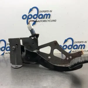 In De Mode Pedalen RENAULT KANGOO Express (FW0/1_)