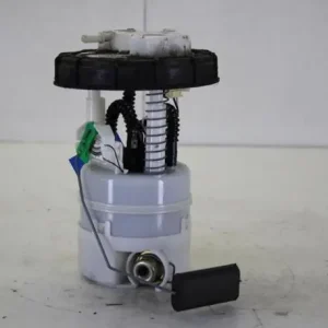 Brandstofpomp RENAULT MODUS / GRAND MODUS (F/JP0_) Professioneel