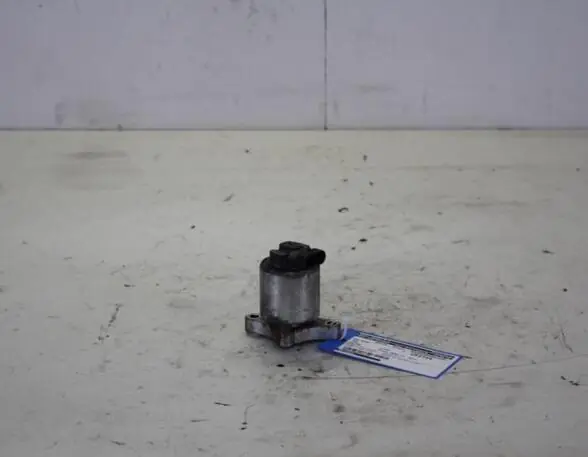 Bestel Nu Uitlaatgasregelingsklep OPEL VECTRA C GTS (Z02)