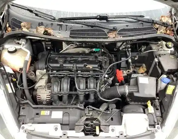 Motor kaal FORD FIESTA VI (CB1, CCN) Direct Verzonden
