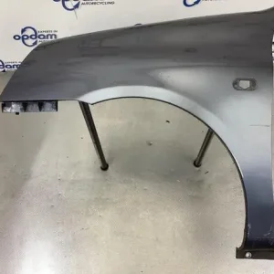 Hoge Kwaliteit Spatbord RENAULT CLIO II (BB_, CB_), RENAULT CLIO III (BR0/1, CR0/1), RENAULT THALIA I (LB_)