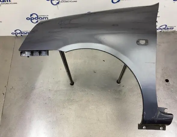 Hoge Kwaliteit Spatbord RENAULT CLIO II (BB_, CB_), RENAULT CLIO III (BR0/1, CR0/1), RENAULT THALIA I (LB_)