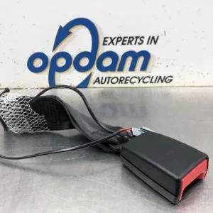 Buckle autogordel RENAULT TWINGO III (BCM_, BCA_) Fabrieksprijs