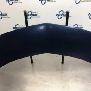 Motorkap RENAULT MODUS / GRAND MODUS (F/JP0_) Trendy